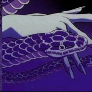 Meet your Posher, Dis